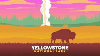 beautiful natural scenery in yellowstone national park