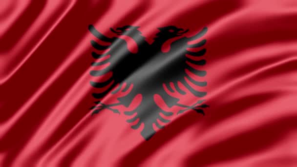 Acenando Republika Shqiperise Bandeira Fundo Telefone Compartilhamento Mídia Social — Vídeo de Stock