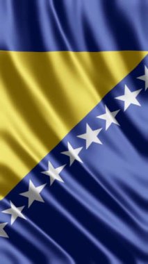 Bosna ve Hersek bayrağı sallayarak.