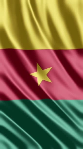 Kamerunská Vlajka Vlnící Větru Ilustrace — Stock video
