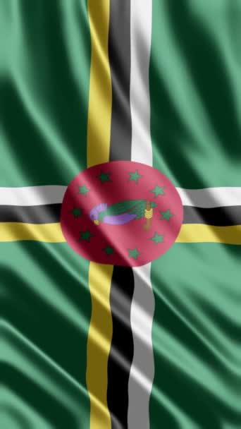 Flagga Dominica Med Kopia Utrymme För Din Text Illustration — Stockvideo