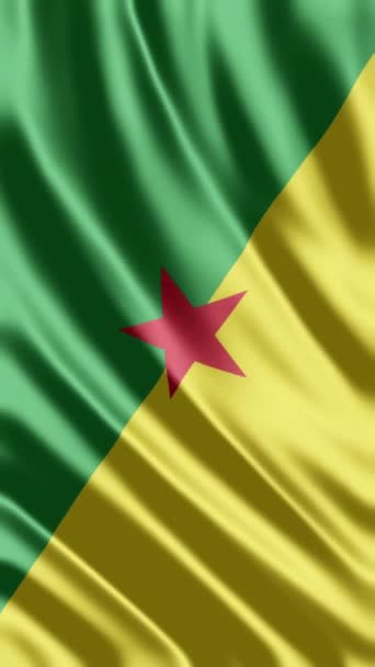 Národní Vlajka Země Národní Země Francouzské Guyany Vlajkou — Stock video