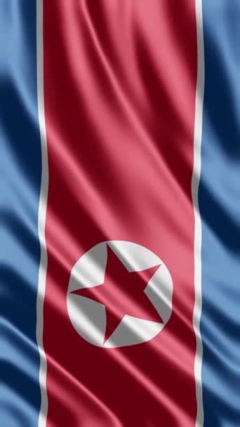 Das Schwenken Der Nordkoreanischen Flagge Oder Das Teilen Von Sozialen — Stockvideo