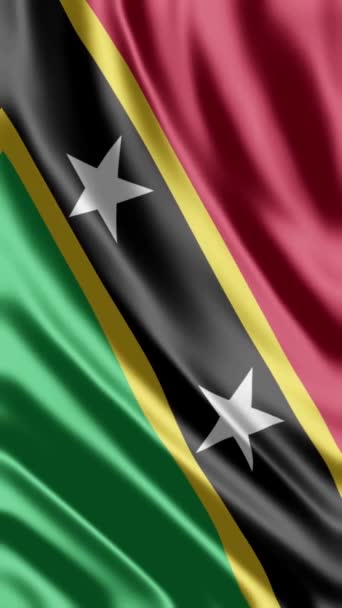 Sventolando Saint Kitts Nevis Flag Sfondo Telefonico Condivisione Social Media — Video Stock