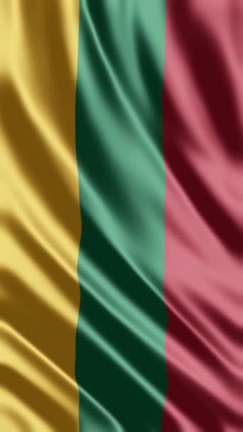 Waving Litvanya Flag Telefon Háttér Vagy Közösségi Média Megosztása — Stock videók