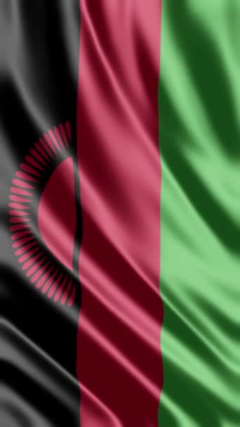 Acenando Bandeira Malawi Fundo Telefone Compartilhamento Mídia Social — Vídeo de Stock