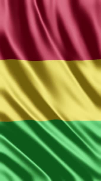 Waving Mali Flag Telefon Pozadí Nebo Sdílení Sociálních Médií — Stock video