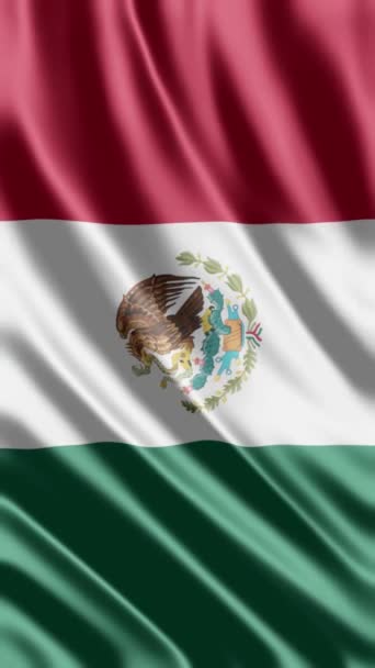 Ondeando Mexicanos Bandera Fondo Del Teléfono Compartiendo Redes Sociales — Vídeos de Stock