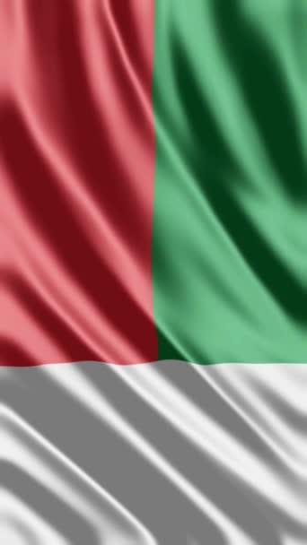 Waving Madagaskar Flag Telefon Háttér Vagy Közösségi Média Megosztása — Stock videók