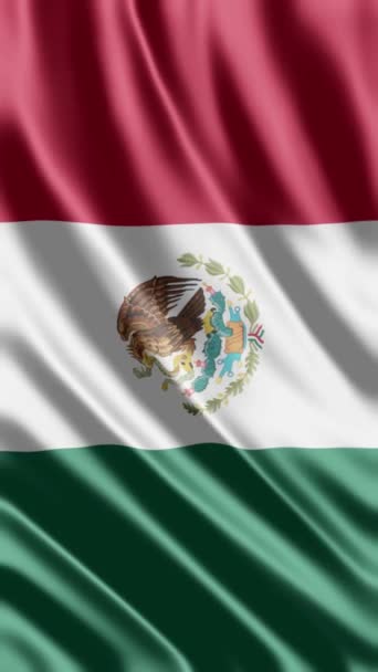 Acenando Bandeira Mexicanos Fundo Telefone Compartilhamento Mídia Social — Vídeo de Stock