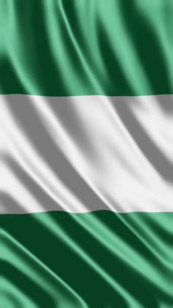 Nijerya Fahne Schwenken Oder Soziale Medien Teilen — Stockvideo