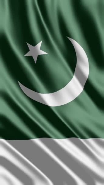Pakistan Bayrak Telefonu Arkaplanı Veya Sosyal Medya Paylaşımı Dalgalanması — Stok video