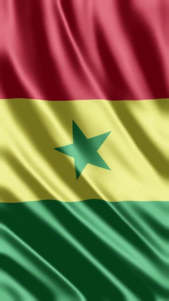 Acenando Bandeira Senegal Fundo Telefone Compartilhamento Mídia Social — Vídeo de Stock