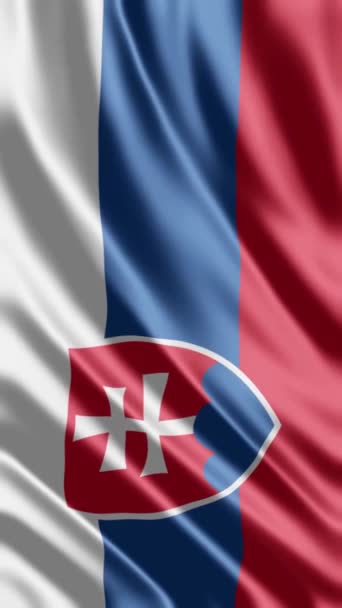 Размахивание Словацким Флагом — стоковое видео