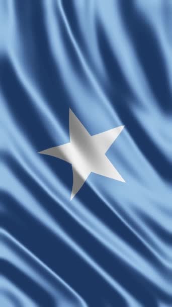 Somali Bayrak Telefonu Arkaplanı Veya Sosyal Medya Paylaşımı Dalgalanması — Stok video