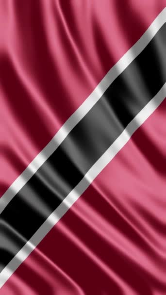 Σημαία Τρινιντάντ Και Τομπάγκο — Αρχείο Βίντεο