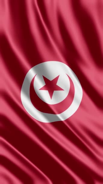 Integetés Tunézia Zászló Telefon Háttér Vagy Közösségi Média Megosztása — Stock videók
