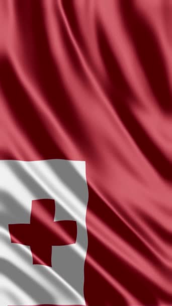 Acenando Bandeira Tonga Fundo Telefone Compartilhamento Mídia Social — Vídeo de Stock
