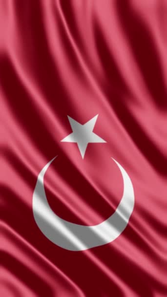 Ondeando Bandera Trkiye Cumhuriyeti Fondo Del Teléfono Compartiendo Redes Sociales — Vídeos de Stock