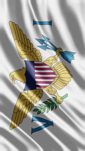 Acenando Estados Unidos Ilhas Virgens Bandeira Fundo Telefone Compartilhamento Mídia — Vídeo de Stock