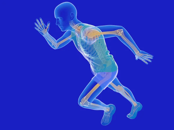 Ilustrace Muže Oblečeného Průhledném Ukazujícím Vnitřní Kostru Lidská Anatomie Běží — Stock fotografie