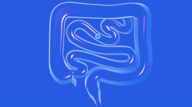 3d animation of transparent glass of gases passing through the large and small intestine. Digestive system, cut out front view cut out on blue background.