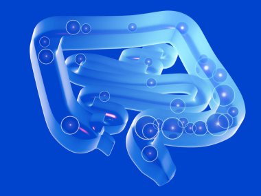 3d crystal illustration of the digestive system, with gases in the large and small intestine. Top view leaning on the ground, cut out on blue background.