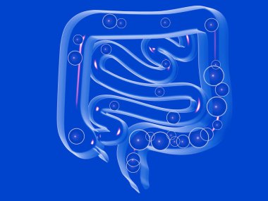 3d crystal illustration of the digestive system, with gases in the large and small intestine. Transparent front view, cut out on a blue background.