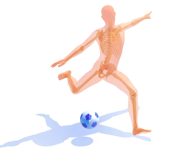 Anatomical Illustration Soccer Player Ball Transparent Image Bones White Background — Stockfoto