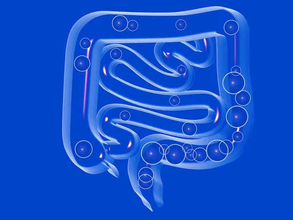3d crystal illustration of the digestive system, with gases in the large and small intestine. Transparent front view, cut out on a blue background.