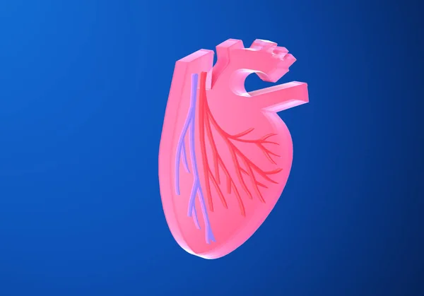 心脏有静脉和冠状动脉的3D图例 平面图形表示 蓝色背景上有剪裁量 — 图库照片