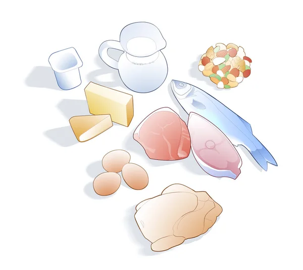 Digital illustration of protein foods. Various common food items, viewed from above.