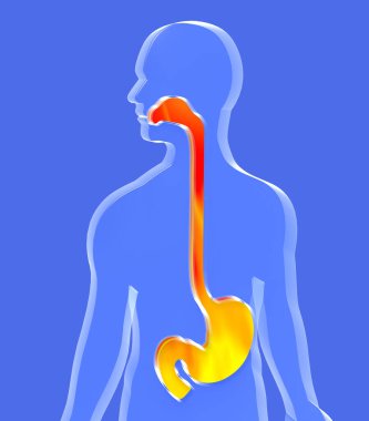 Ağzında ateş ve hazımsızlık olan mide ve yemek borusunun 3 boyutlu çizimi. Mavi arka planda insan siluetinde sindirim sistemi gösteriliyor.