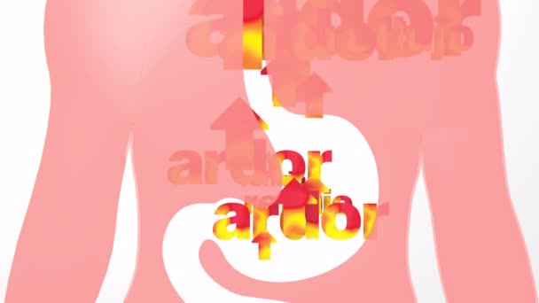 Animation Des Verdauungssystems Mit Magenreflux Und Sodbrennen Mit Flachen Feuerpfeilen — Stockvideo