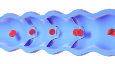 Hastalıklı ve yetersiz bir damarın anatomik 3 boyutlu animasyonu. Vana arızası, duvarlarda kırmızı kan hücrelerinin birikmesi varisli damarlara neden olur. Beyaz arkaplanda gerçekçi biçim.