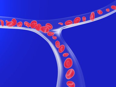 Anatomical 3D illustration of an artery or vein with the movement of red blood cells and platelets. Rapid blood circulation. Transparent glass capillary on blue background. clipart