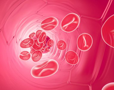 Atardamarın anatomik iç kısmının 3 boyutlu çizimi ve kan bileşenlerinin hareketi. Kırmızı kan hücreleri, lökositler ve trombositler. Kan dolaşımı ön taraftan görünüyor.. 