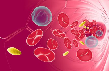 3D illustration of the anatomical interior of an artery or vein with the movement of the blood components. Red blood cells, leukocytes and platelets. Circulation seen from the front.  clipart