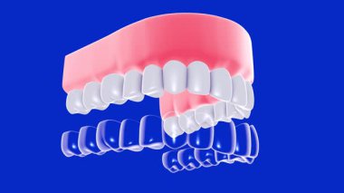 Şeffaf cam grafikli bir diş kapağının 3 boyutlu animasyonu. Gerçekçi bir sakız ve takma dişin üzerine koyma eylemini gösteriyor. Aşağıdan mavi bir arkaplan üzerinde görüntülenir.