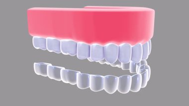 Şeffaf cam grafikli bir diş kapağının 3 boyutlu animasyonu. Gerçekçi bir anatomik protezin üzerine yerleştirmeden önce ve sonra. Gri bir arkaplanda.