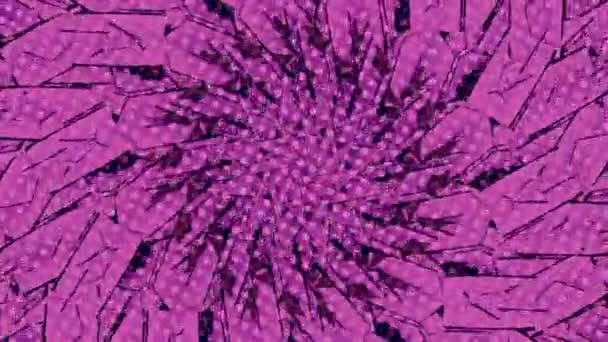 Abstract Loop Pink Psychedelic Radial Symmetry Techno Music Background Vortex — Stock video