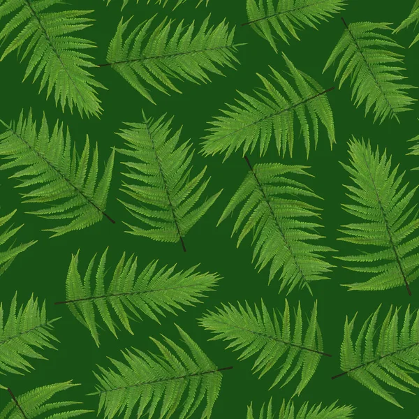 Farnblätter Sich Wiederholenden Mustern Wickeln Sich Kippbare Schleife Nahtlos Grüne — Stockfoto