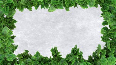 sarmaşık bitki örtüsü çerçeve çerçeve arkaplan beton kopya alanı yeşil yeşillik bahçesi 3D illüstrasyon