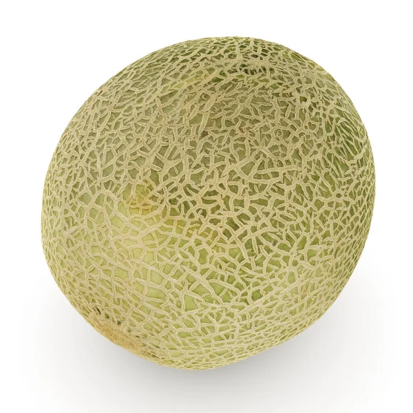 Kantaloupe Vit Bakgrund Ekologisk Frukt Färsk Söt Melon Dessert Illustration — Stockfoto