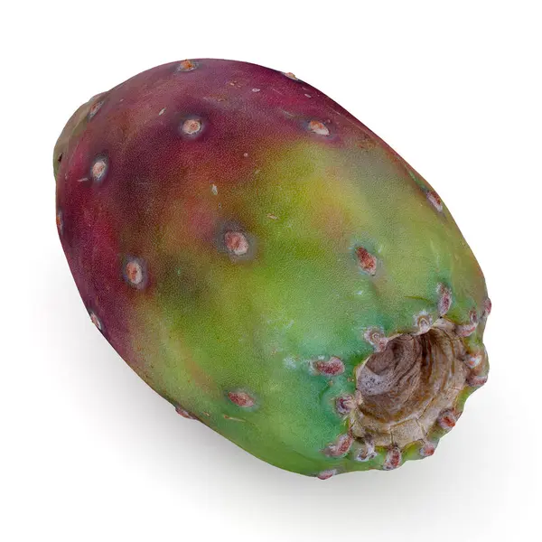 Taggig Päron Vit Bakgrund Kaktus Frukt Hälsosam Vegetarisk Mat Illustration — Stockfoto
