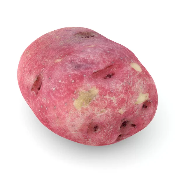 Червоний Картопляний Овоч Ізольований Білому Тлі Солодка Картопля Сира Їжа — стокове фото