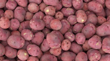 Kırmızı patates yığını, bir sürü sebze, patates kızartması için taze patates kızartması, organik patates tarımı, 3 boyutlu illüstrasyon.