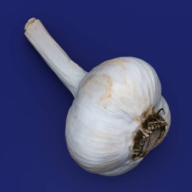 Beyaz sarımsaklı, sebzeli, fotokonserve, taze sağlıklı baharat mutfak dekorasyonu. Mavi arka planda gerçekçi 3D çizimler.