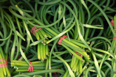 Taze, yeşil sarımsaklı bir manzaranın yakın çekimi kıvrımlı sapını ve canlı rengini gözler önüne seriyor. Mutfak ve bahçıvanlık bağlamında sağlıklı, organik bileşenleri resmetmek için ideal..