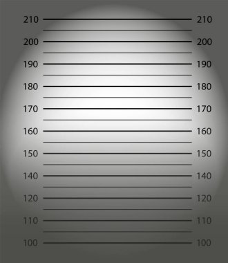 Police mugshot. Police lineup or mugshot background. Vector. clipart